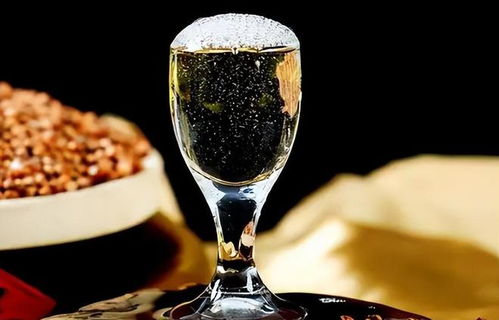 低價淘好酒有門道 避開即飲型，記住三要點，便宜也能喝到好滋味